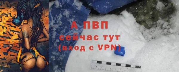 амф Сосновый Бор